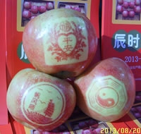 辰时果贴实拍
