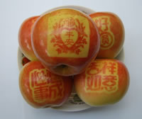 辰时果贴实拍