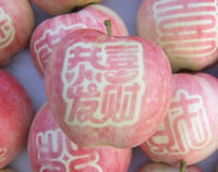 辰时果贴实拍