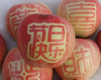 辰时果贴实拍