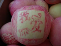 辰时果贴实拍