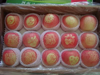 辰时果贴实拍