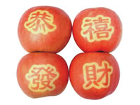 辰时果贴实拍