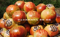 辰时果贴实拍